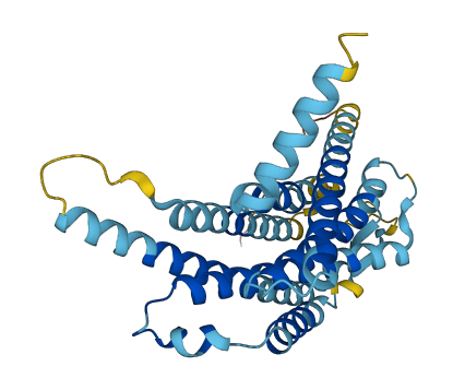 Vmn1r42 3D structure