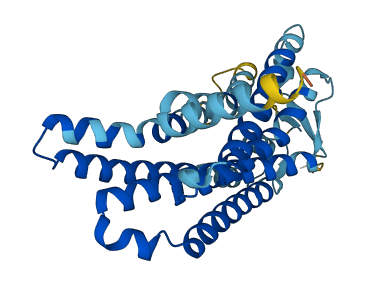 Olfr63 3D structure
