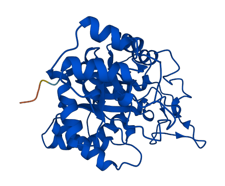 Akr1c13 3D structure