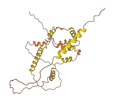 Ifi27l2b 3D structure