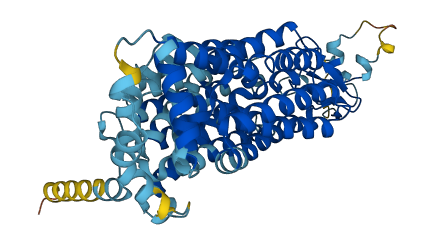 Slc22a19 3D structure