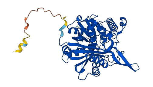 Acaa1b 3D structure