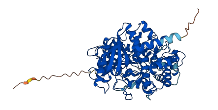 Ces1d 3D structure