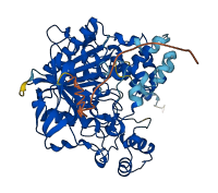 Ces3b 3D structure