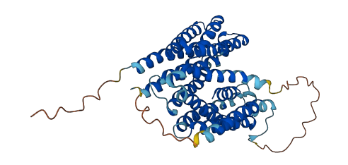 Mfsd4b1 3D structure