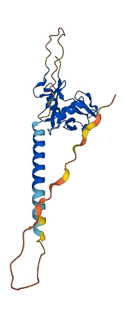 Klrb1f 3D structure