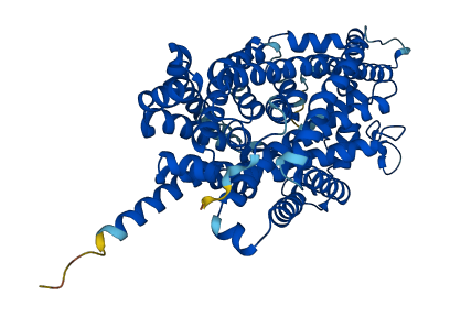 Slc6a20a 3D structure