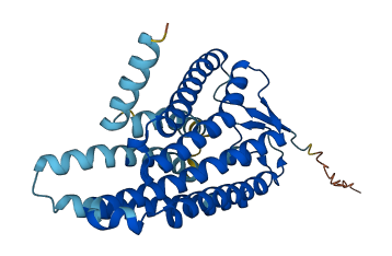 Olfr1102 3D structure