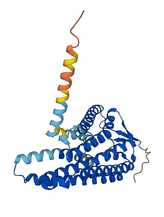 Olfr498 3D structure
