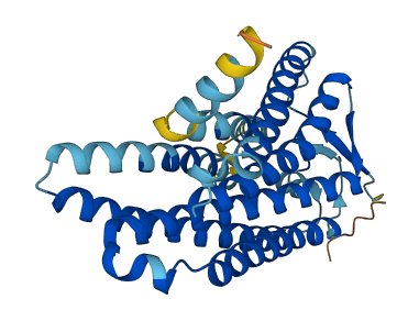 Olfr493 3D structure