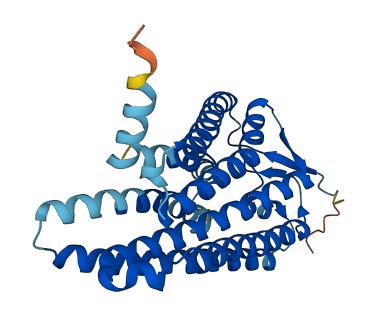 Olfr510 3D structure