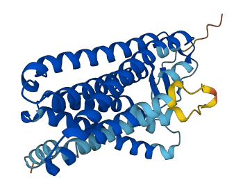 Olfr186 3D structure