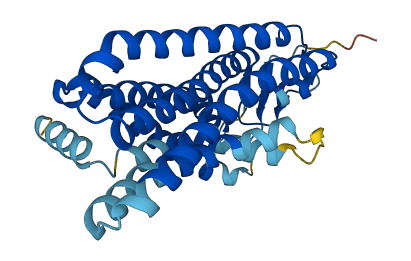 Olfr187 3D structure
