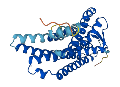 Olfr958 3D structure