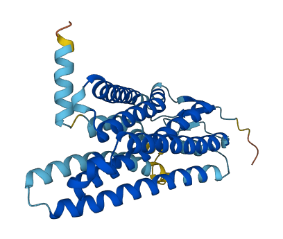 Olfr480 3D structure