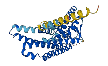 Olfr495 3D structure