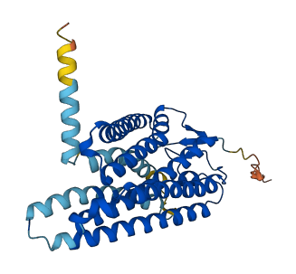 Olfr1094 3D structure