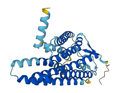 Olfr470 3D structure