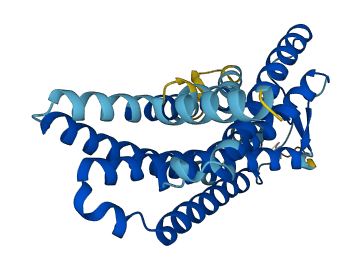 Olfr469 3D structure