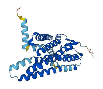 Olfr998 3D structure