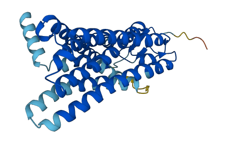 Olfr183 3D structure