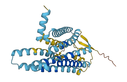 Olfr474 3D structure