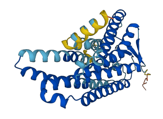 Olfr486 3D structure