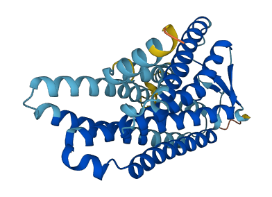 Olfr492 3D structure