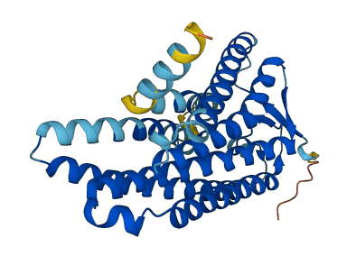Olfr490 3D structure