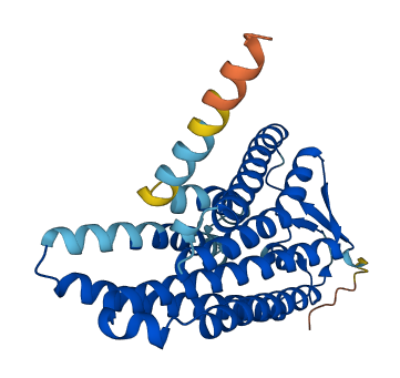 Olfr484 3D structure