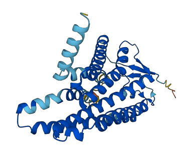 Olfr1009 3D structure