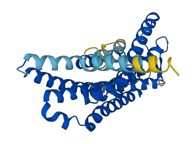 Olfr1002 3D structure
