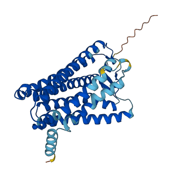 Olfr1020 3D structure