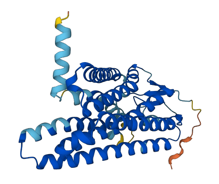 Olfr1030 3D structure