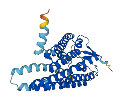 Olfr1086 3D structure
