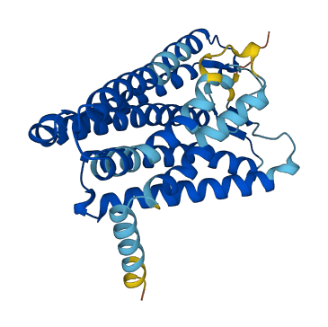 Olfr24 3D structure