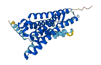 Olfr1440 3D structure