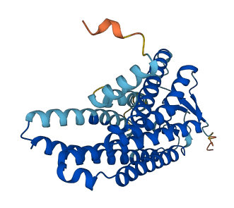 Olfr1444 3D structure