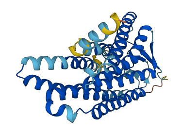 Olfr488 3D structure