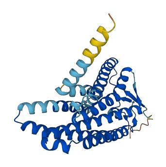 Olfr482 3D structure