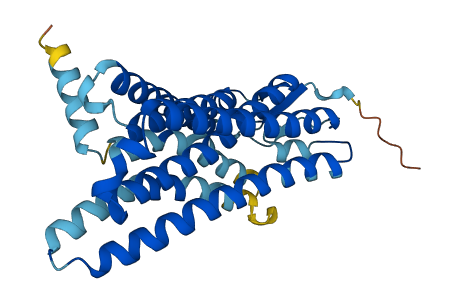 Olfr478 3D structure