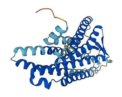Olfr483 3D structure