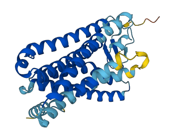 Olfr491 3D structure