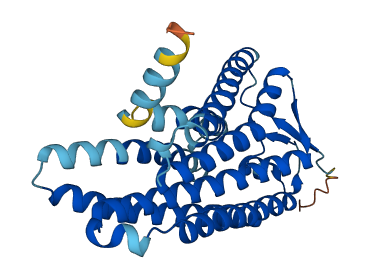 Olfr494 3D structure