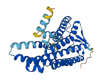 Olfr497 3D structure