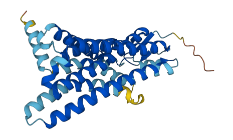 Olfr502 3D structure