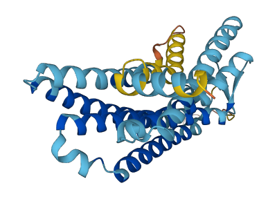 Olfr507 3D structure