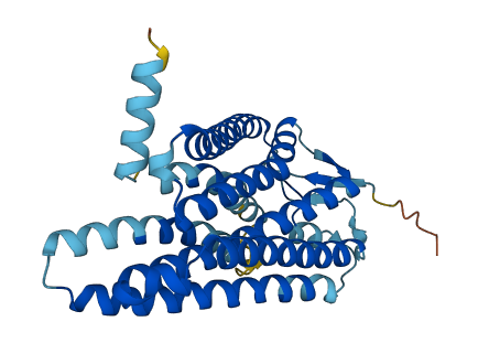 Olfr508 3D structure