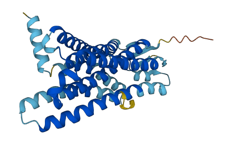 Olfr472 3D structure