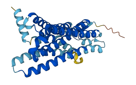 Olfr473 3D structure
